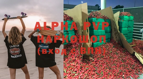 apvp Вяземский