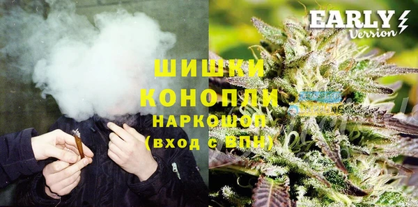 apvp Вяземский