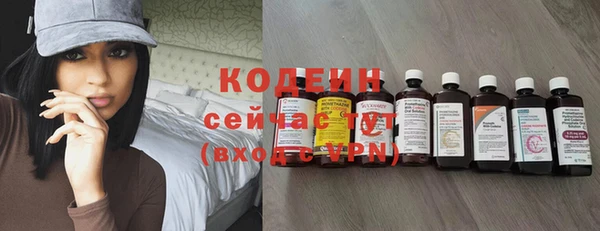 apvp Вяземский