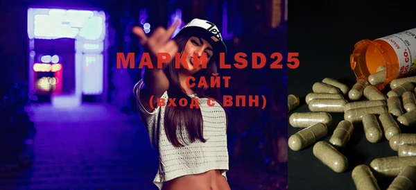 мдпв Вязьма