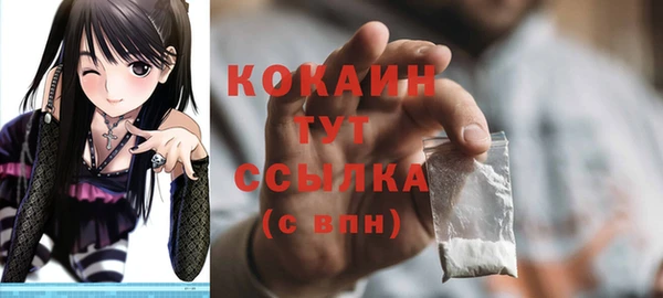 apvp Вяземский