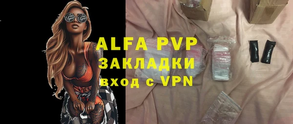 apvp Вяземский