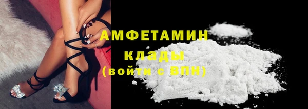 apvp Вяземский