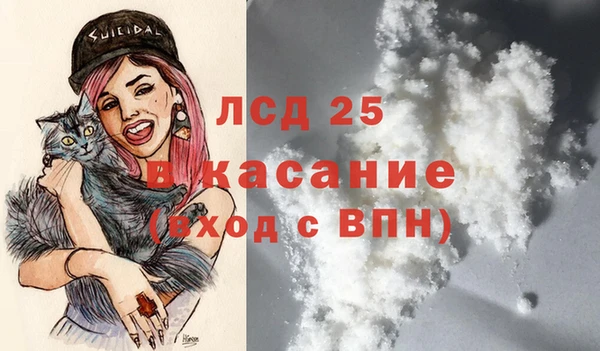 apvp Вяземский