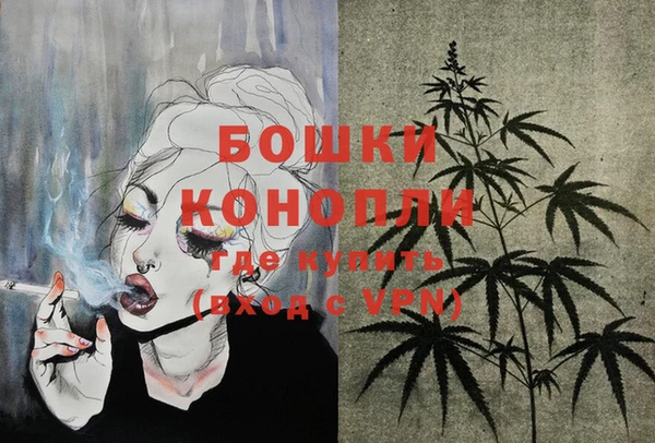 мдпв Вязьма