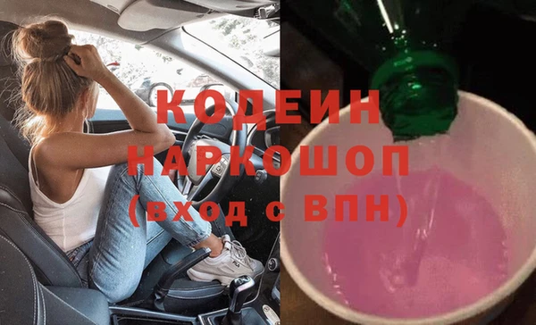 apvp Вяземский