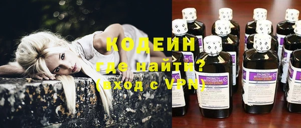 apvp Вяземский