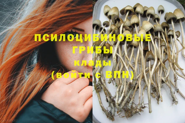 трава Вязники
