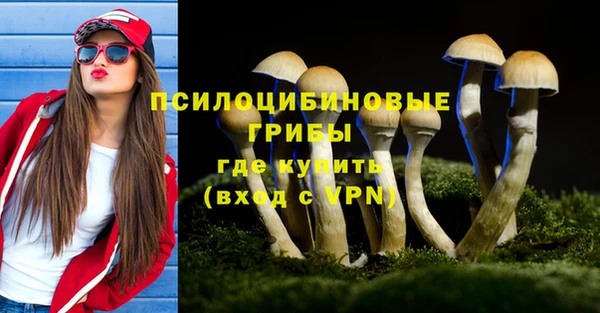 мдпв Вязьма