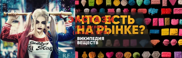 apvp Вяземский