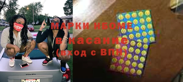 apvp Вяземский