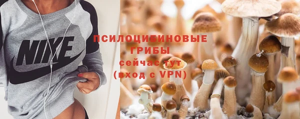 apvp Вяземский