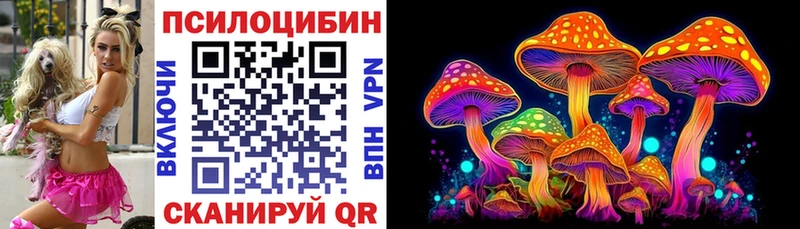 Купить закладки  Тотьма  Галлюциногенные грибы Cubensis 